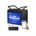 DC HOUSE 12 Volt LiFepo4 Batterie mit 100 AH, inclusive Ladegerät