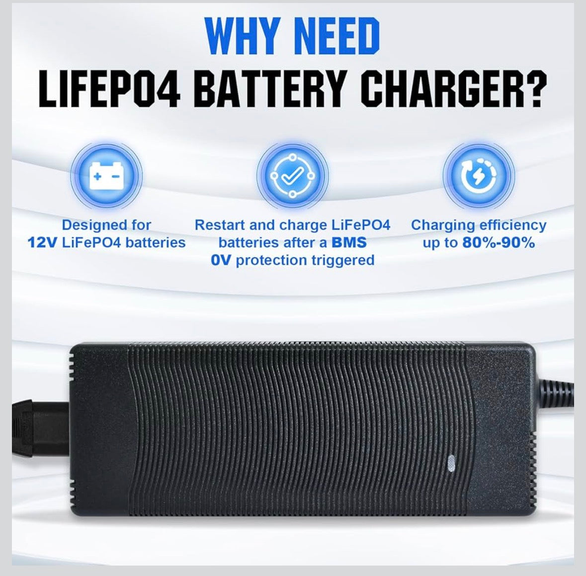 DC HOUSE 12 Volt LiFepo4 Batterie mit 100 AH, inclusive Ladegerät