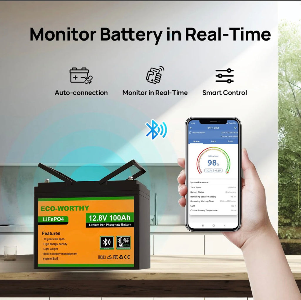 ECO-WORTHY 12V 100AH LiFePO4 Batterie
