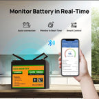 ECO-WORTHY 12V 100AH LiFePO4 Batterie