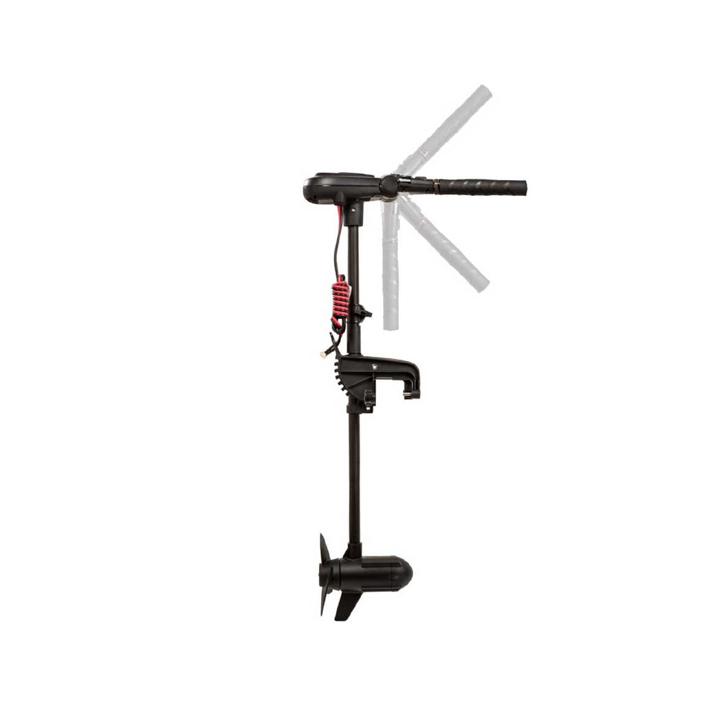 Haswing Protruar 1.0 / 600W 12V / Brushless