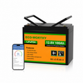 ECO-WORTHY 12V 100AH LiFePO4 Batterie
